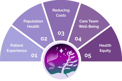 A graphic of WPS OHTs Quintuple Aim; consisting of patient experience; population health; reducing costs; care team well-being; and health equity.